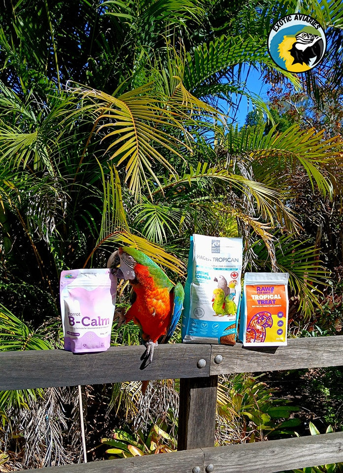 Premium Bird Food