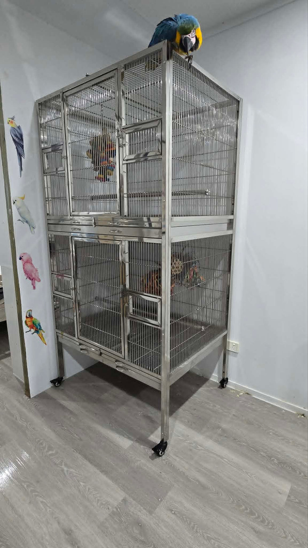 Stainless Steel Twin Cage (SD100C) Double Stacker