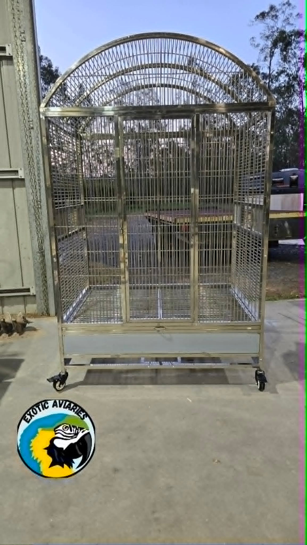 Stainless Steel Medium Parrot Dome (SD89A)