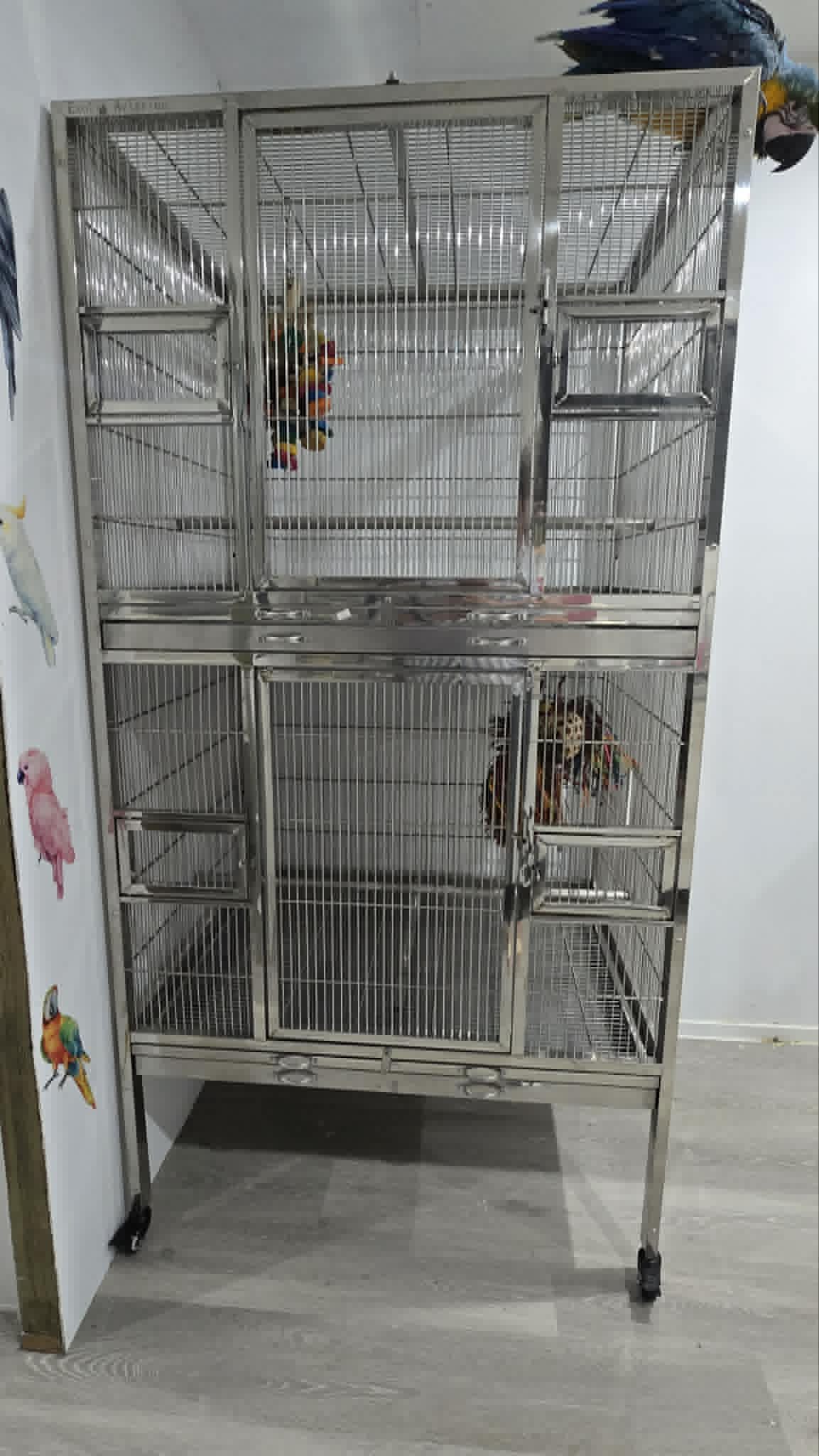 Stainless Steel Twin Cage (SD100C) Double Stacker