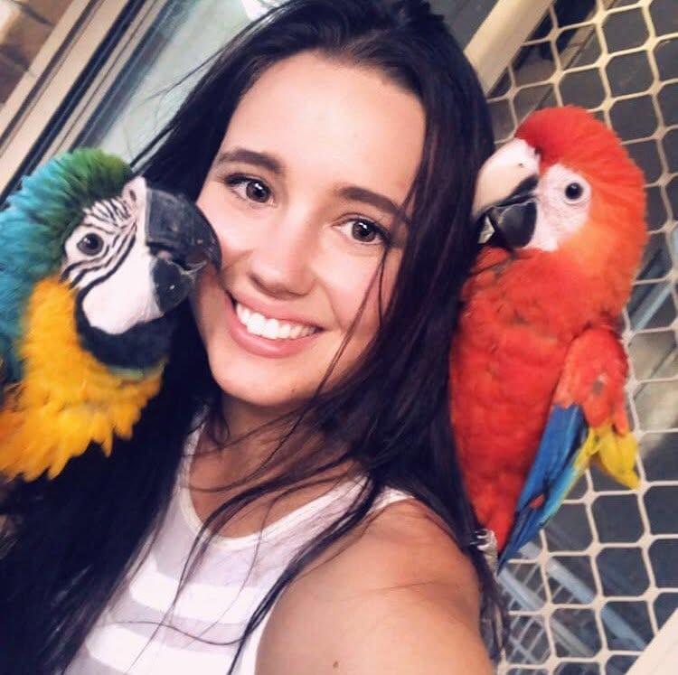 Exotic Aviaries