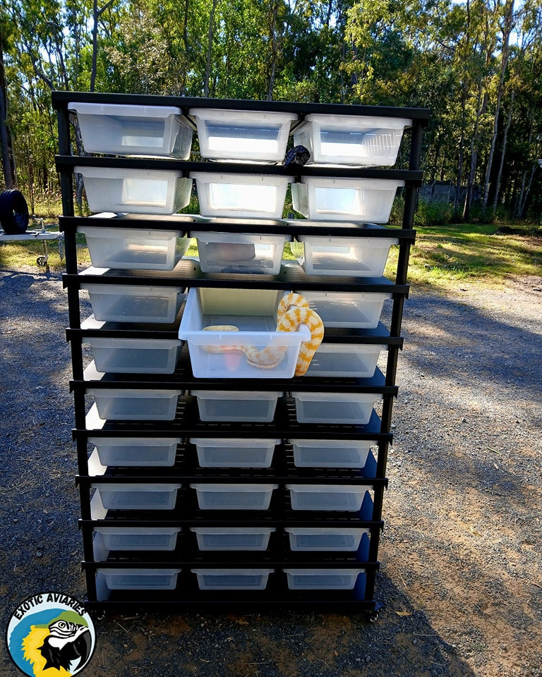 Reptile Rack B6030 (Medium)