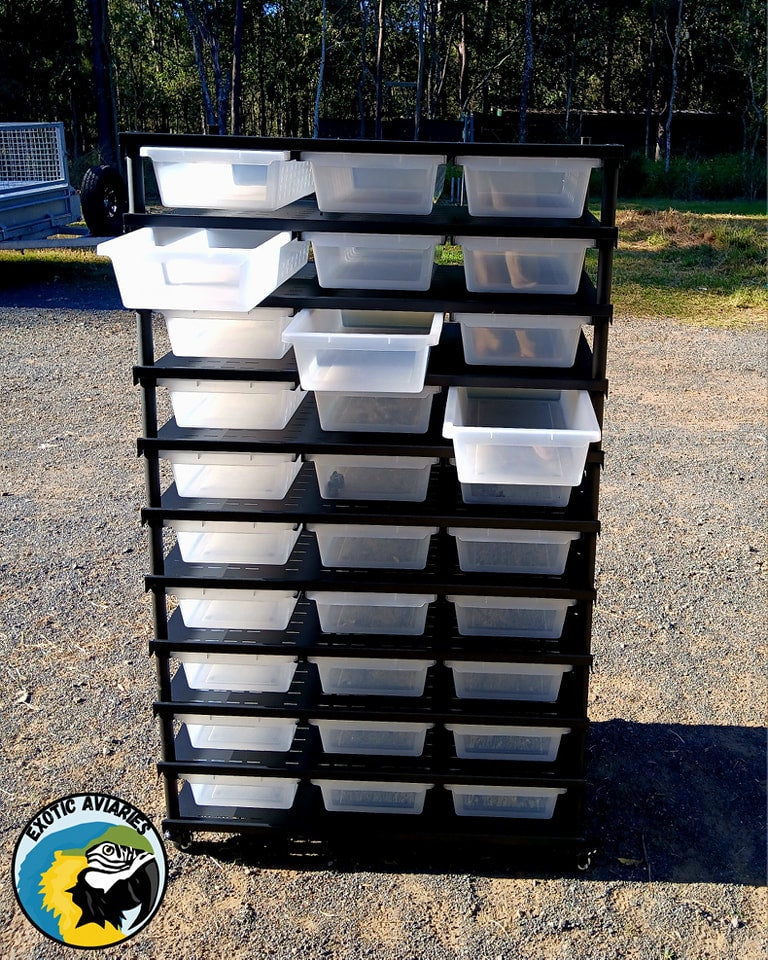 Reptile Rack B6030 (Medium)
