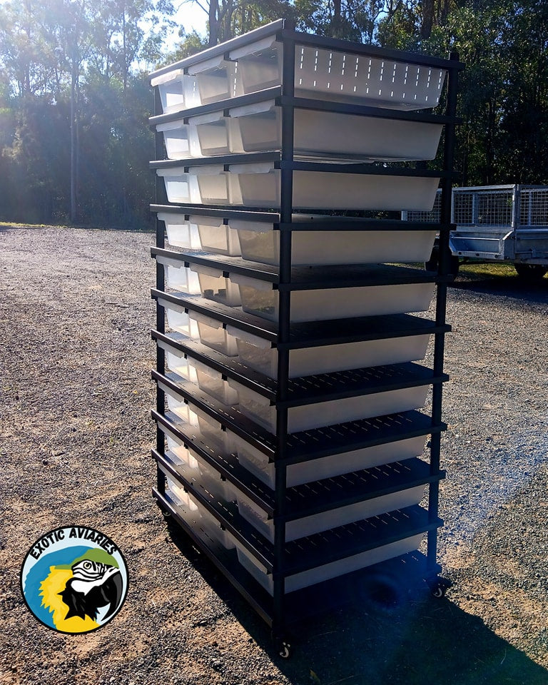 Reptile Rack B6030 (Medium)