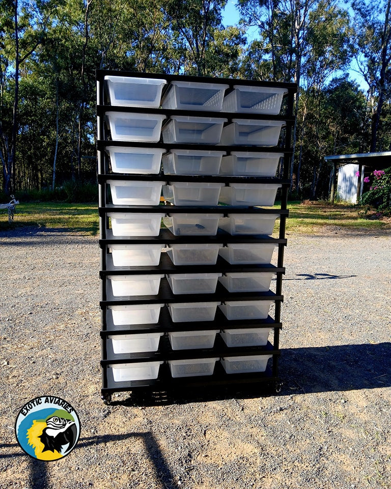 Reptile Rack B6030 (Medium)
