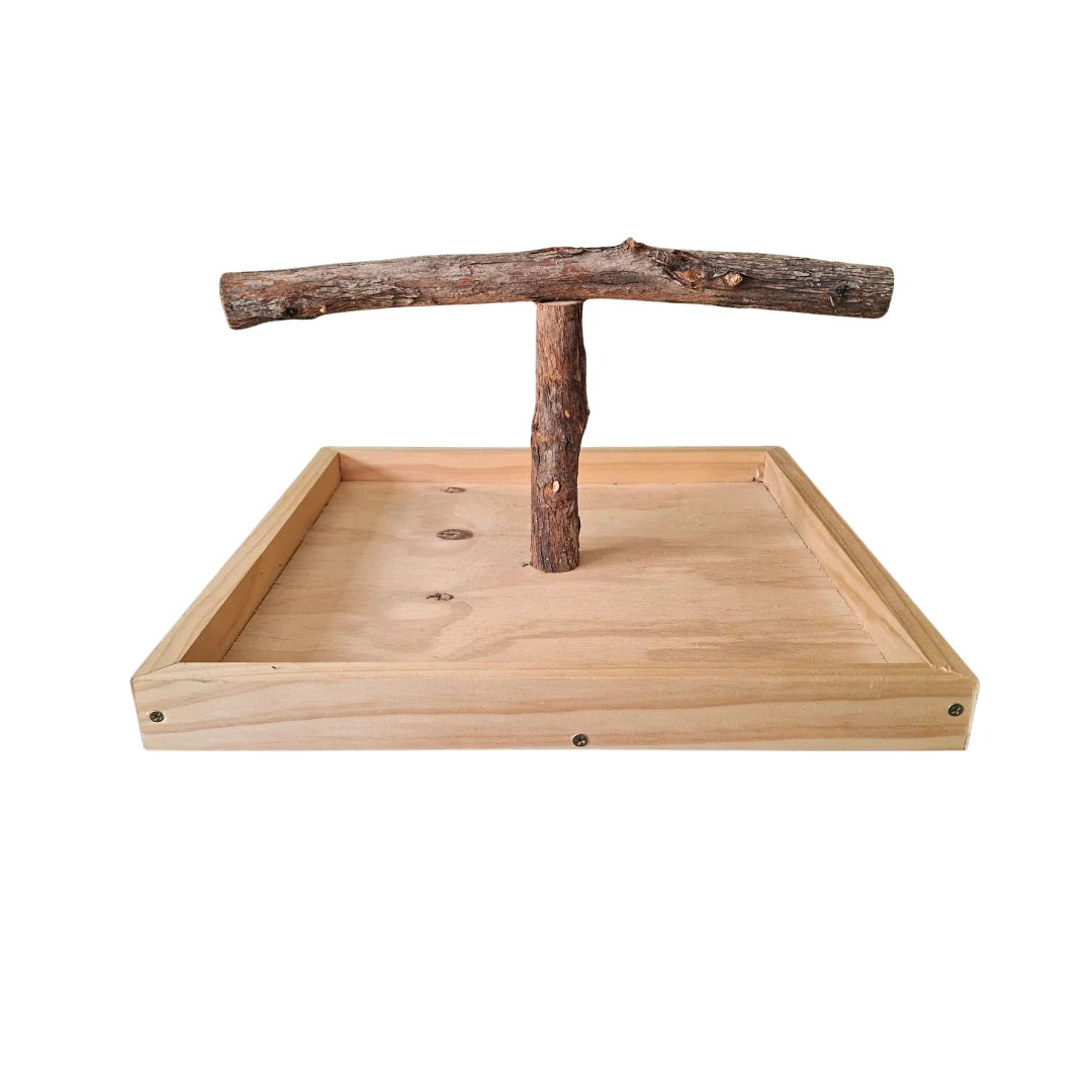 Bird Nerd Training Stand