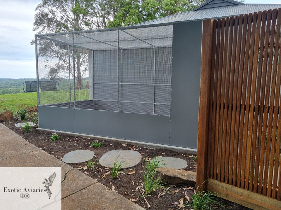 Illustration of Store Aviary For Pet Stores Wall