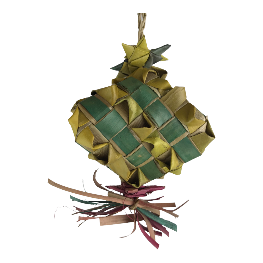 Nino's Java Pinata