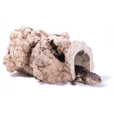 Reptile Java Hide