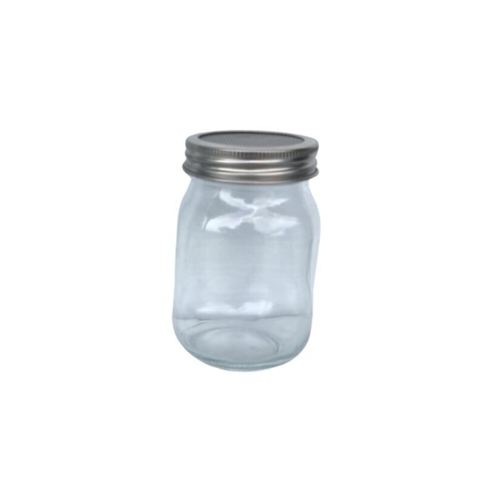 Birds Sprouting Jar