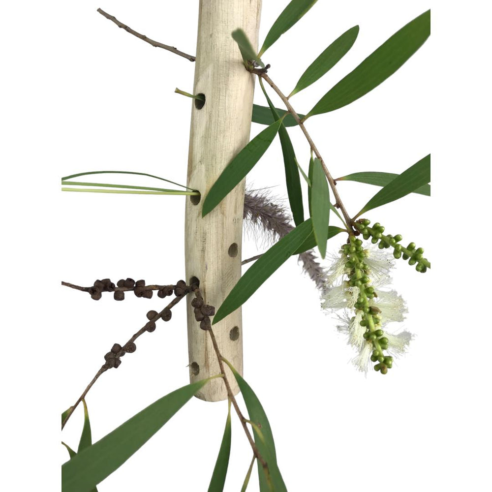 Nino's Java Forage Totem
